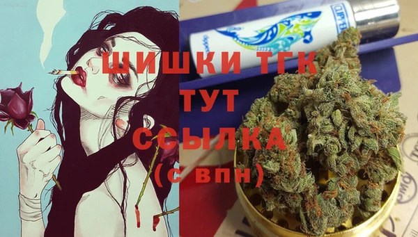 молекула духа Белоозёрский