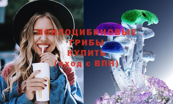 молекула духа Белоозёрский