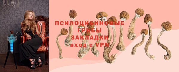молекула духа Белоозёрский