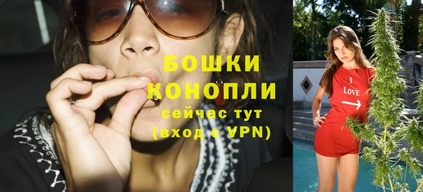 крисы Богородицк