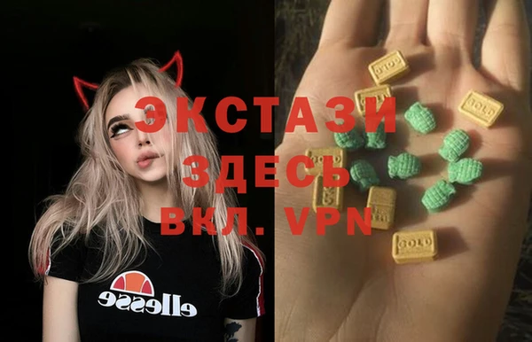 гидра Елабуга