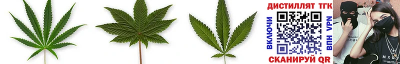 Дистиллят ТГК THC oil  где найти наркотики  Мариинский Посад 